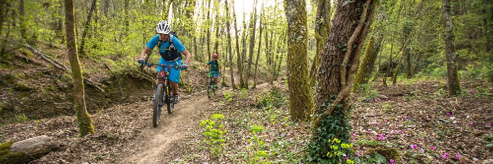 BICI IN VAL D'ORCIA
mountain-bike/citybike/ecobike